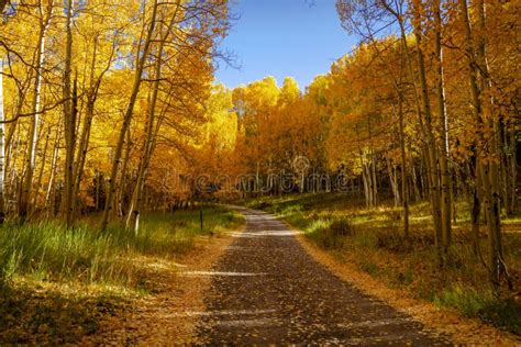Autumn Color In San Juan And Rocky Mountains Of Colorado Stock Photo
