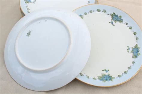 Antique Vintage Mz Austria Porcelain Plates Blue Forget Me Not Hand