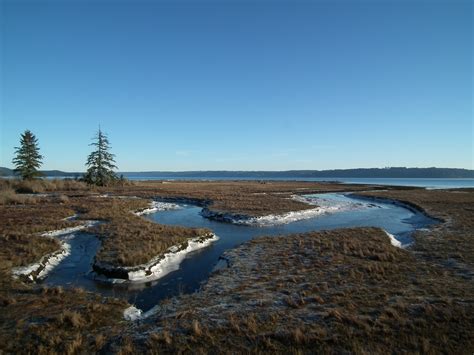 Maybe you would like to learn more about one of these? File:Dosewallips state park estuary.JPG - Wikimedia Commons