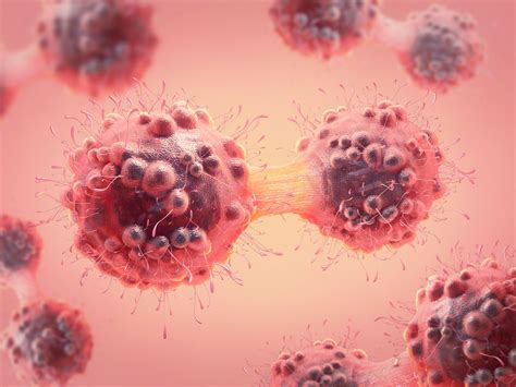 A Closer Look At The Top 5 Deadliest Cancers