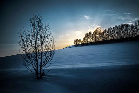 Crepuscular Ray Of Sunset In Snow Forest Photograph By Michael Mh Ng