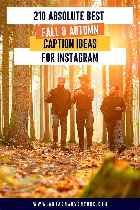 210 Best Fall And Autumn Captions For Instagram 2024
