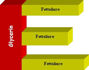 Fettsäuren SFA MUFA PUFA Therapie
