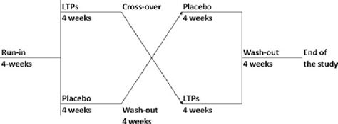 Main Structure Of The Double Blind Randomized Placebo Controlled Trial