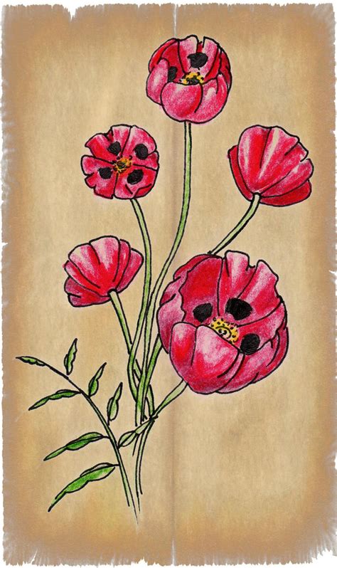 Poppy Tattoo Design By Benjirox On Deviantart