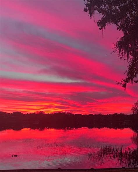 Pink Sunset Lake Lake Sunset Orange Lake Landscape Paintings