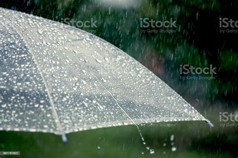 Umbrella In The Rain Stock Photo - Download Image Now - iStock