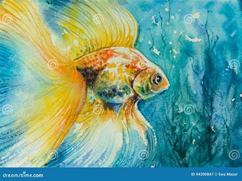 Goldfish Stock Illustration Illustration Of Magic Carp 94200847