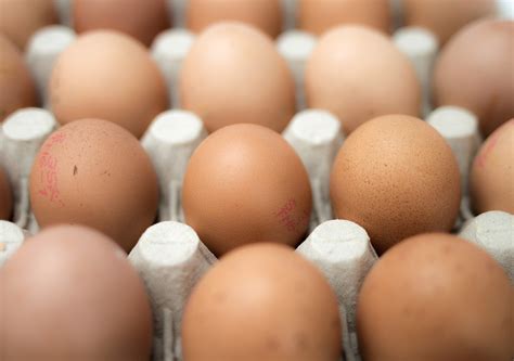 Are Organic Eggs Healthier Than Regular Eggs