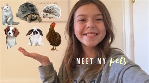Meet My Pets 20 Animals Youtube