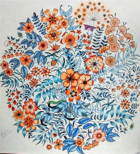 Johannabasford secretgarden enchantedforest lostocean coloringbook colouringforadults. SECRET GARDEN | Secret garden coloring book, Secret garden ...