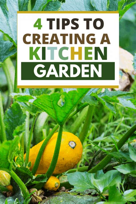What’s the Difference Between a Kitchen Garden and a Regular Vegetable
