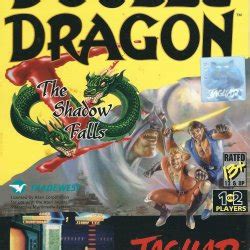 Double Dragon V The Shadow Falls Vgdb V Deo Game Data Base