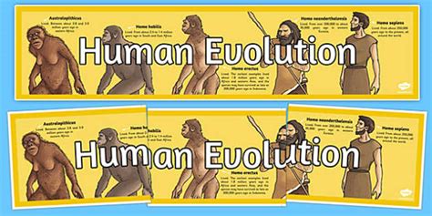 Human Evolution Timeline Human History Timeline Twinkl