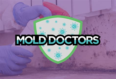 Professional Mold Removal And Testing Al And Ms
