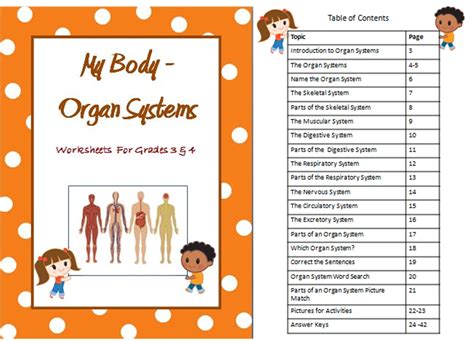 This article contains a list of organs of the human body. Human Body Organ Systems - Worksheets for Grade 3 & 4 ...