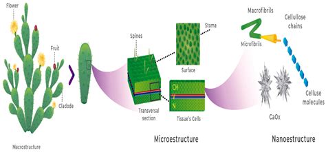 Applied Sciences Free Full Text Relationship Of Nanomaterials