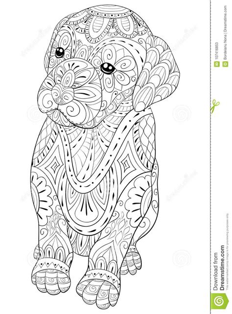 Adult Coloring Page A Cute Little Isolated Dog For