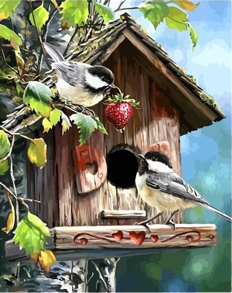 Picture Birds Animals Diy Paint By Number Paint By Numbers For Adult