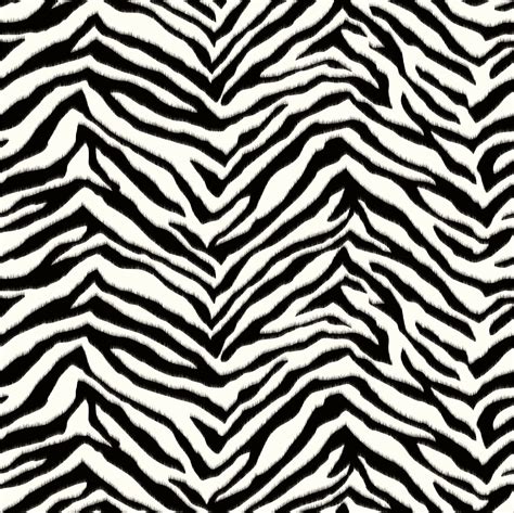 Print Zebra Wallpapers Wallpaper Cave