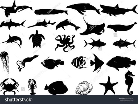 Sea Life Vector Silhouette Isolated Stock Vector Royalty Free