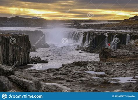 Selfoss Waterfall In Northern Iceland Stock Image Image Of Dawn