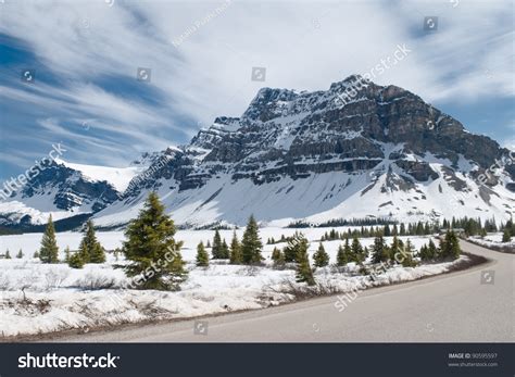 Winter Landscape Canadian Rocky Mountains Fir Stock Photo 90595597