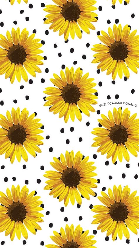 Pin By Rebeca On Wallpapers Sunflower Wallpaper Flower Phone