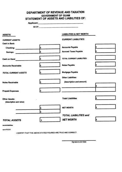 Statement Of Assets And Liabilities Form Printable Pdf Download