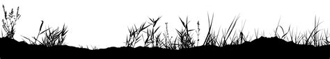 Nature Clipart Png Image Grass Clipart Grass Silhouette Grass Wallpaper