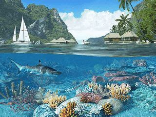 Caribbean Islands 3D Screensaver 1.1 - kostenlos downloaden