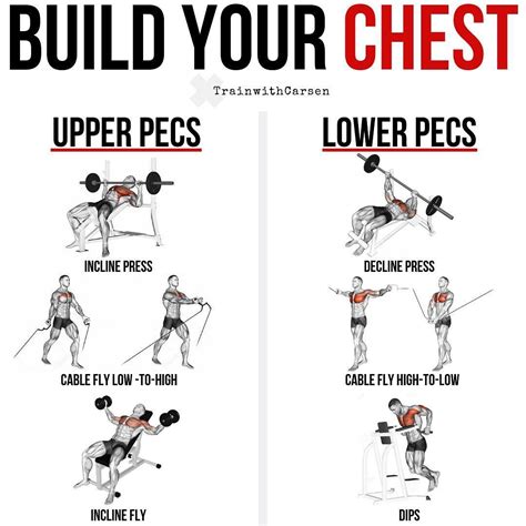 10 Best Chest Exercises For Building Muscle Chest Workouts Lower