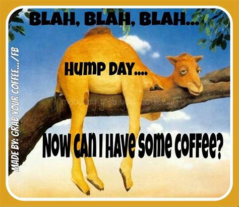 Happy Wednesday Pictures Wednesday Hump Day Wednesday Coffee