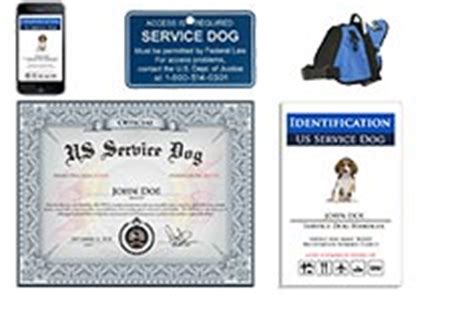 There are 3 main types of assistance dogs. US Dog Registry - Service Dog Registration and Supplies