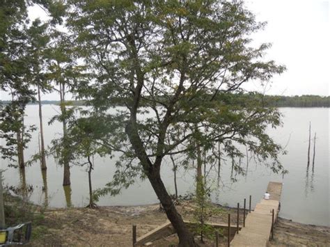 We did not find results for: Reduced. Lake Mary Lakefront Camp F : Lot for Sale in ...