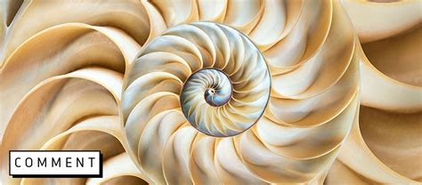 Experiencing Mathematical Beauty Is Within Your Reach Bbc Science