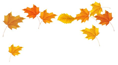 Download Falling Leaves Transparent Background Hq Png Image Freepngimg