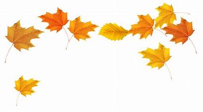 Leaves Fall Clipart Clipartion