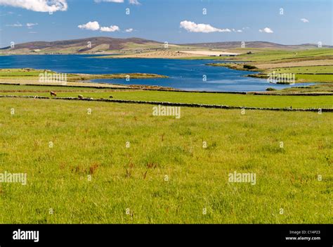 Orkney Islands Scotland United Kingdom Stock Photo Alamy