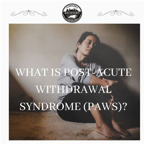 What Is Post Acute Withdrawal Syndrome Paws