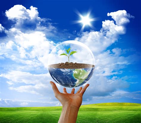 We did not find results for: How Chemical Companies Can Reduce Environmental Impact ...