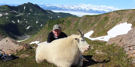 Mountain Goat Hunts Fejes Guide Service