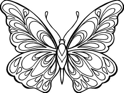 Butterfly Coloring Pages Free Printable Sheets Parade