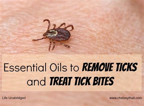 I never done the quests, apart from inventory slots and few black spirits, im wondering how long would it take to do all quests or most of the quests (i consider this option as a major boost to contri xp ). Essential Oils to Remove Ticks and Treat Tick Bites | From ...