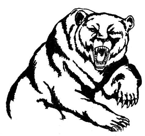 Learn how to draw black bear head pictures using these outlines or print just for coloring. Grizzly Bear Head Drawing at GetDrawings | Free download