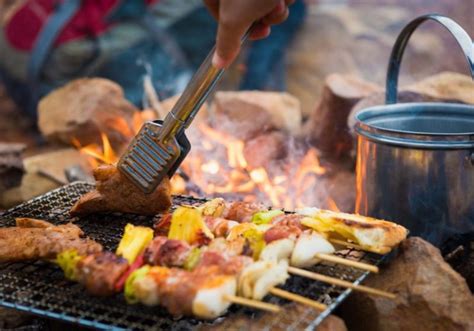 A Complete Guide To Campfire Cooking Survival Life