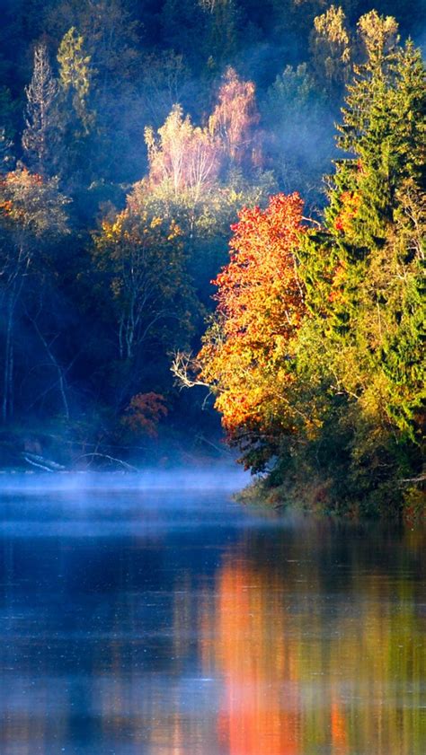 Latvia Autumn Landscape Morning Forest River Fog Iphone 5
