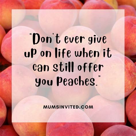 75 peach quotes to get you through the summer mums invited
