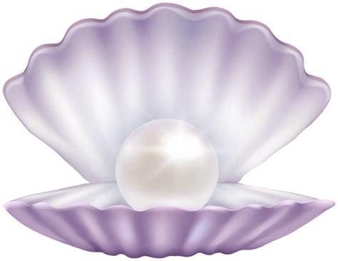 Clam With Pearl Png Clipart In 2021 Clip Art Free Clip Art Pearls