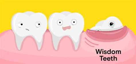 The average cost of wisdom teeth removal is expensive without insurance. Wisdom Teeth Removal Cost Houston | Wisdom Teeth Factory